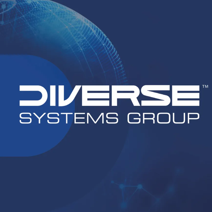 Diverse Systems Group, LLC logo