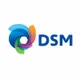 DSM logo