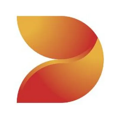 DS SMITH PACKAGING LIMITED logo