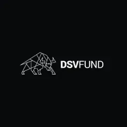 DSV Fund logo