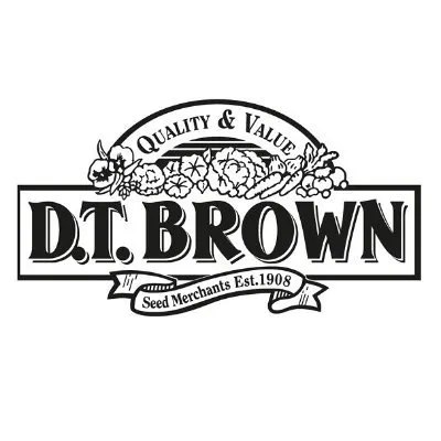 dt-brown logo