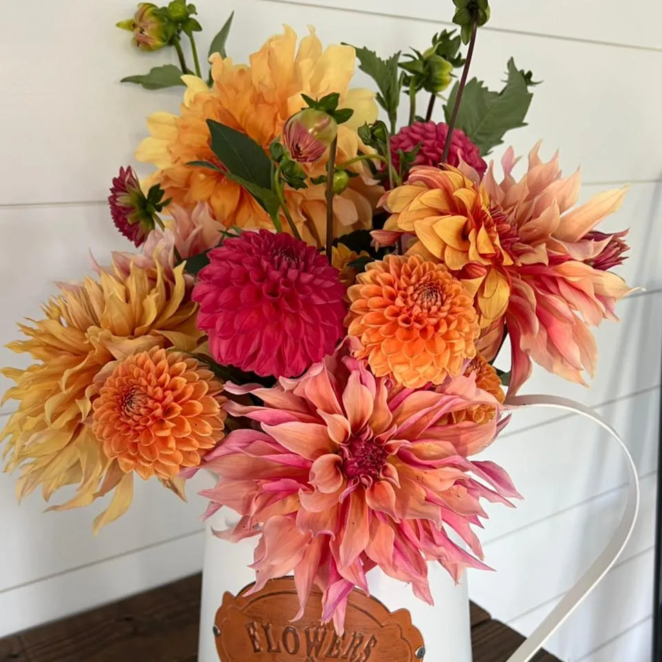 Dubuquedahlias