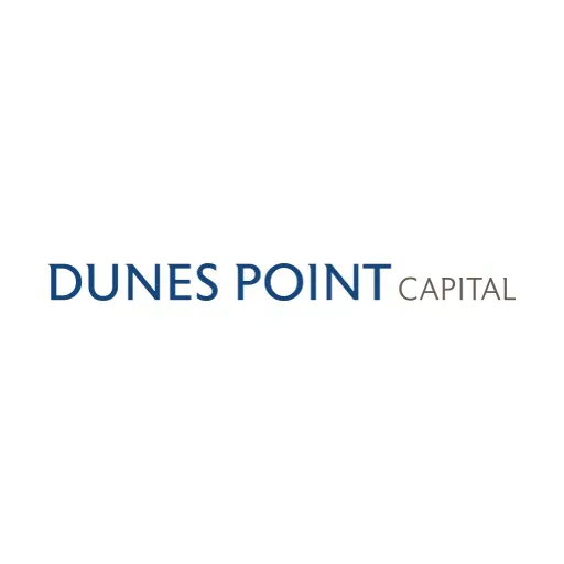 Dunes Point Capital Fund IV, L.P. logo