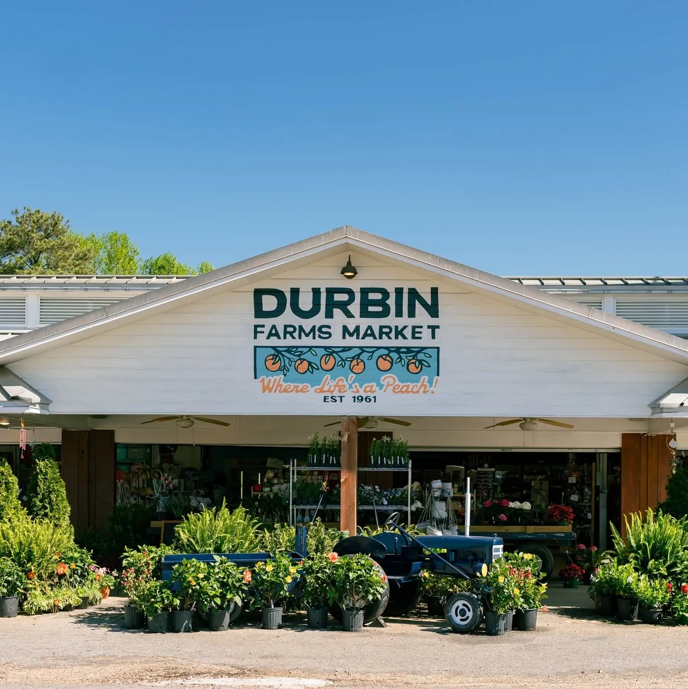 Durbinfarmsmarket
