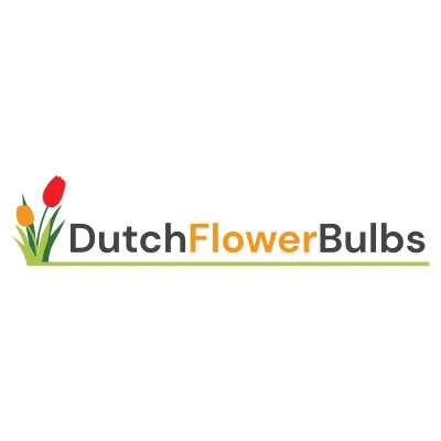 Dutchflowerbulbs