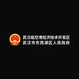 武汉临空港经济技术开发区 logo