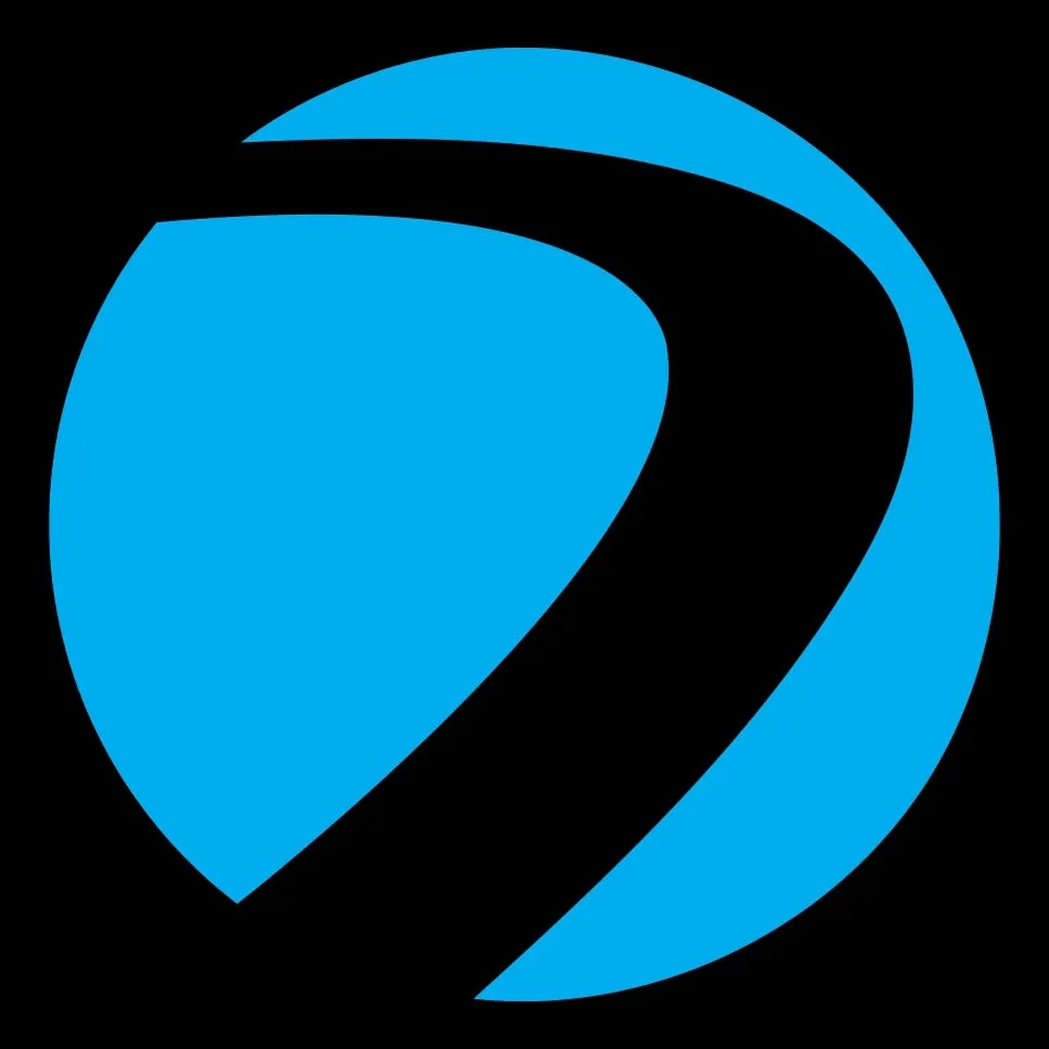 Dye Precision