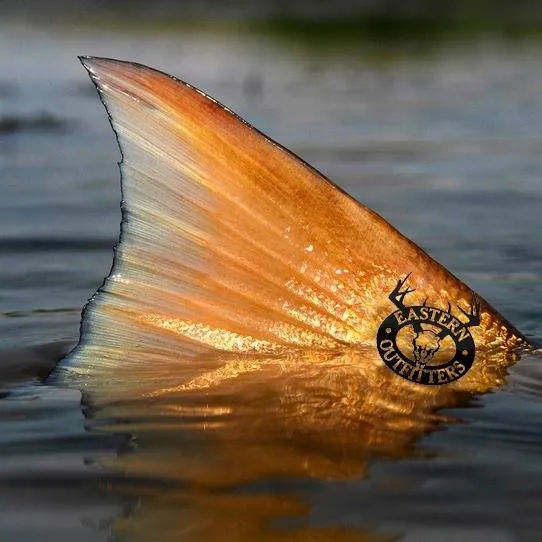 Easternoutfitter