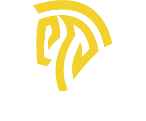 EasySMX light logo