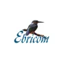 Logo Ebricom