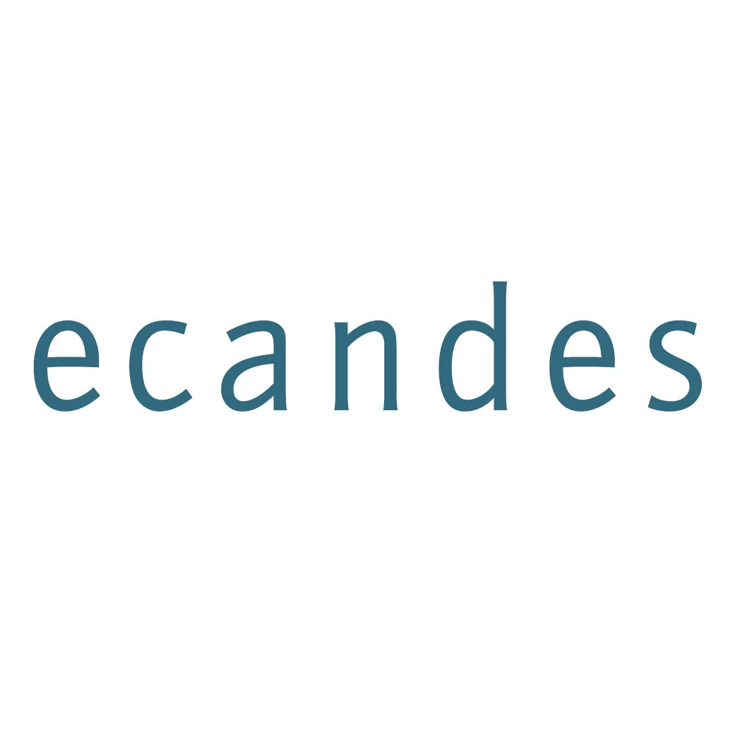 ecandes Wirtschaftsprüfer - Steuerberater