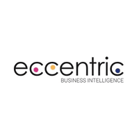 ECCENTRIC BUSINESS INTELLIGENCE logo