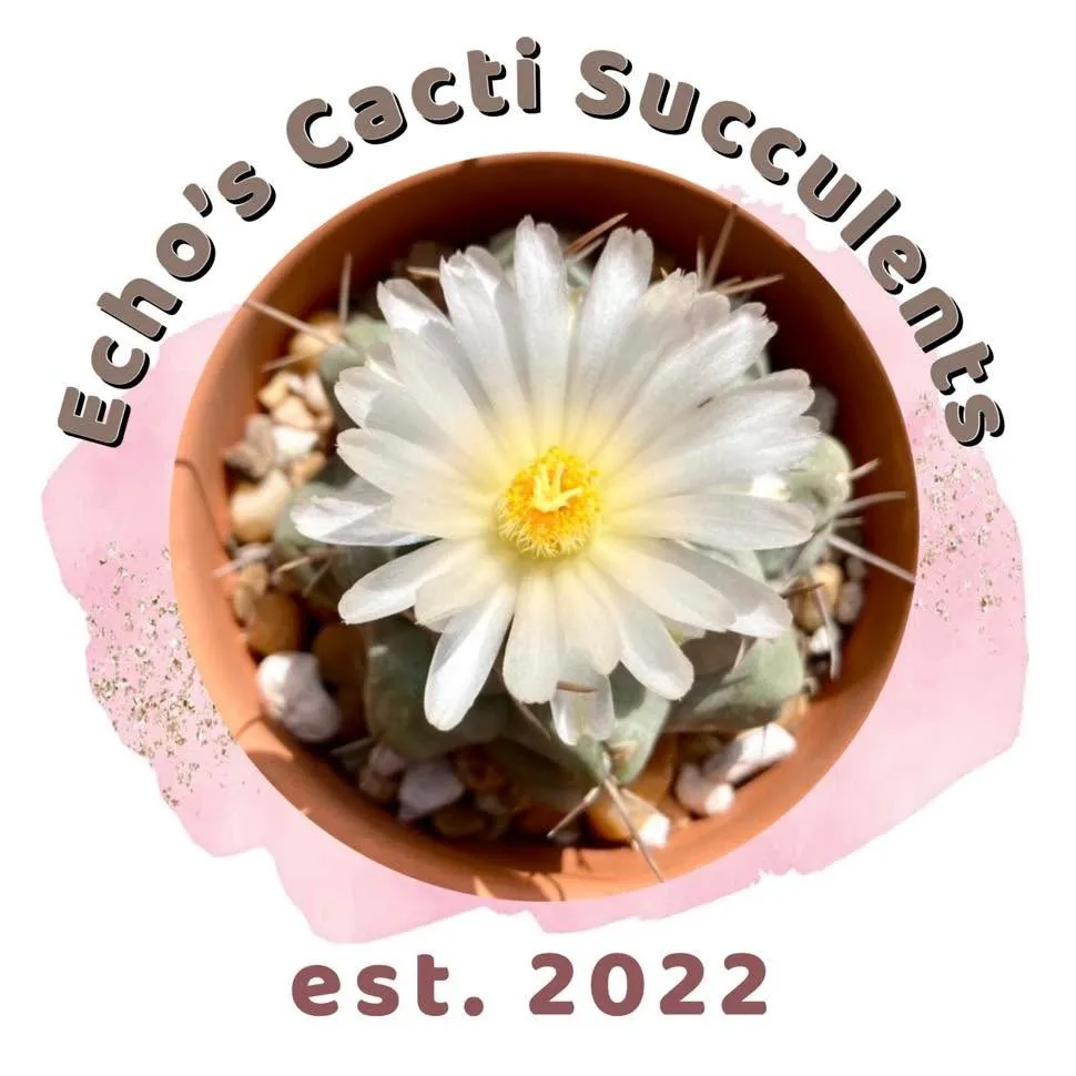 Echocactisucculentsgarden
