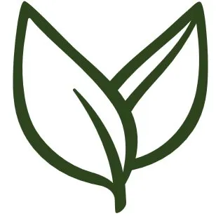 Ecogirlshop