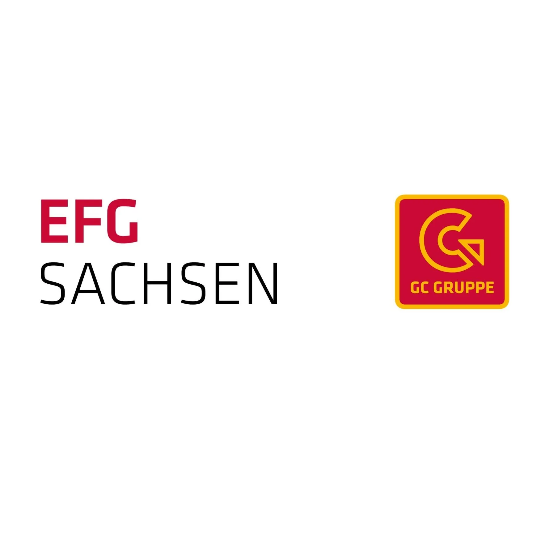 EFG SACHSEN KG logo