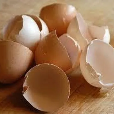 Eggshells Kitchen Co.