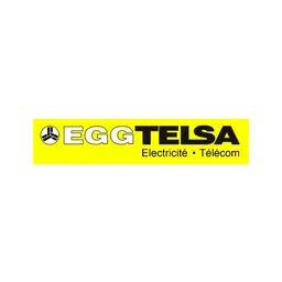 Egg Telsa Logo
