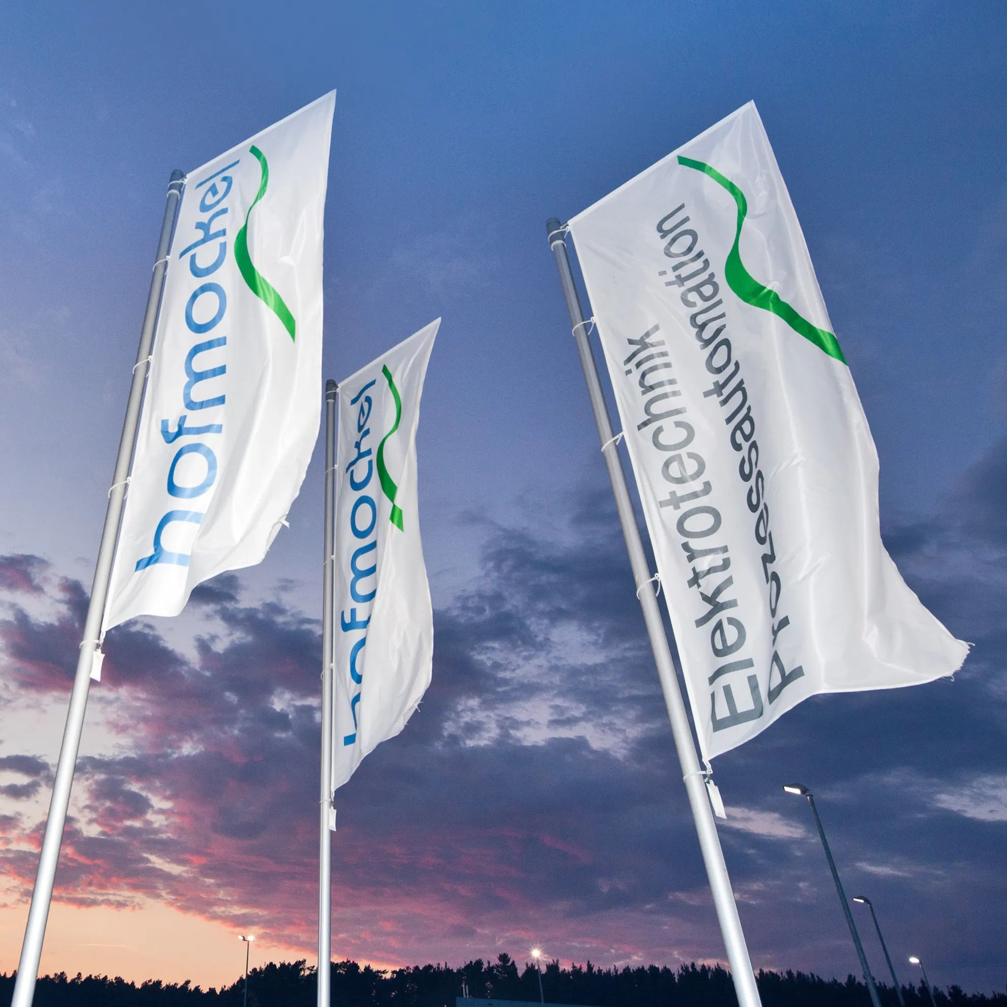 Elektro-Hofmockel GmbH & Co. Elektro-Anlagen KG