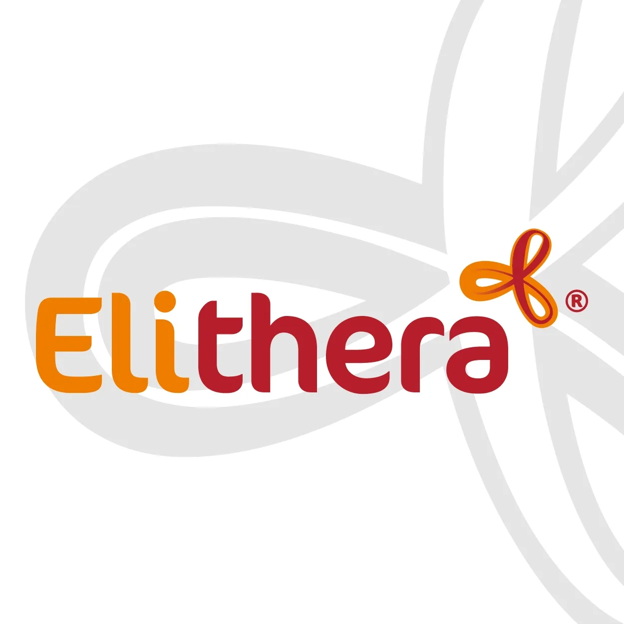 Elithera Netzwerk GmbH