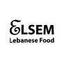 Logo Elsem