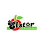 Logo De Elstar
