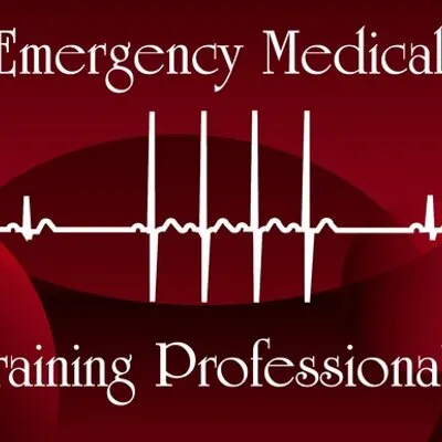 EMT IV LLC logo