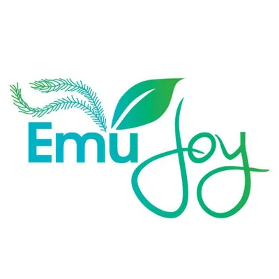 emujoy.com logo