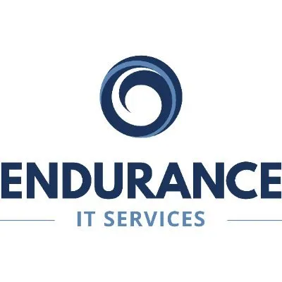 Endurance IT Services logo