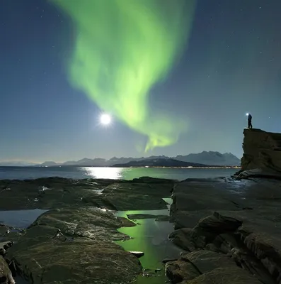 ENJOY THE ARCTIC AS