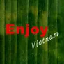 Logo Enjoy Vietnam