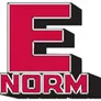 Logo Enorm Van Driel