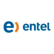 Entel-company-logo
