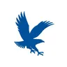 Embry Riddle logo