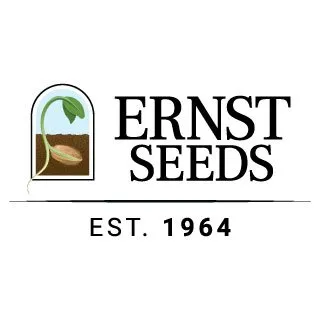 Ernstseed