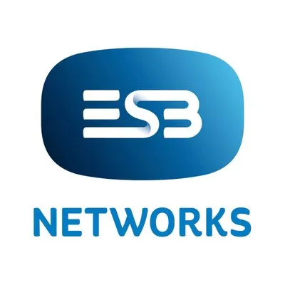 ESB Networks Logo