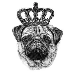 Escapologyhome - 260