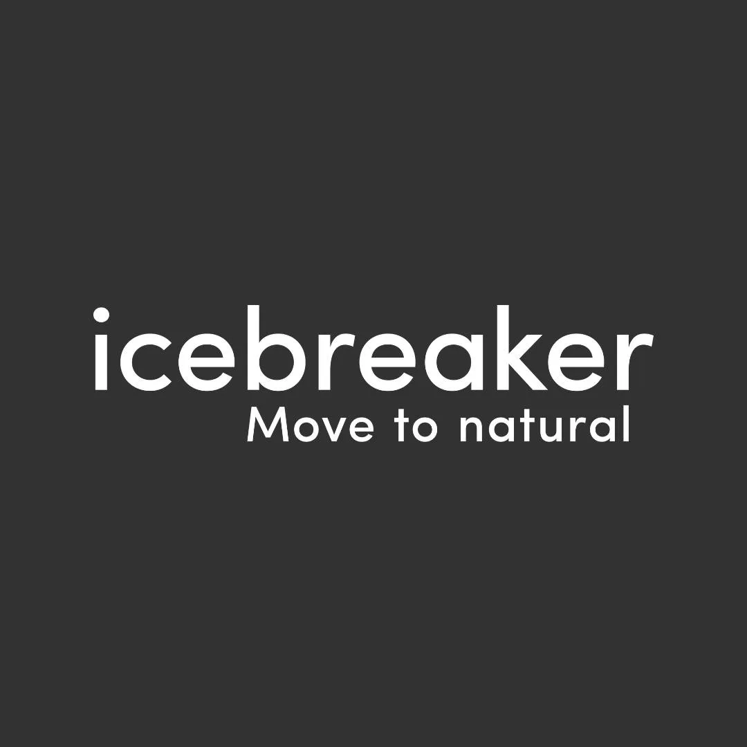 Icebreaker Meri