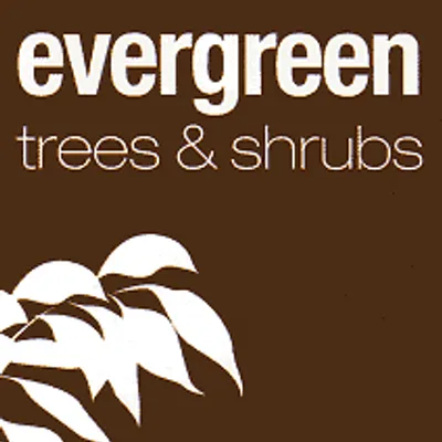Evergreendirect