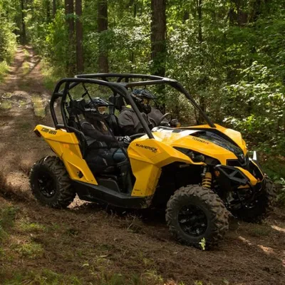 Everythingcanamoffroad