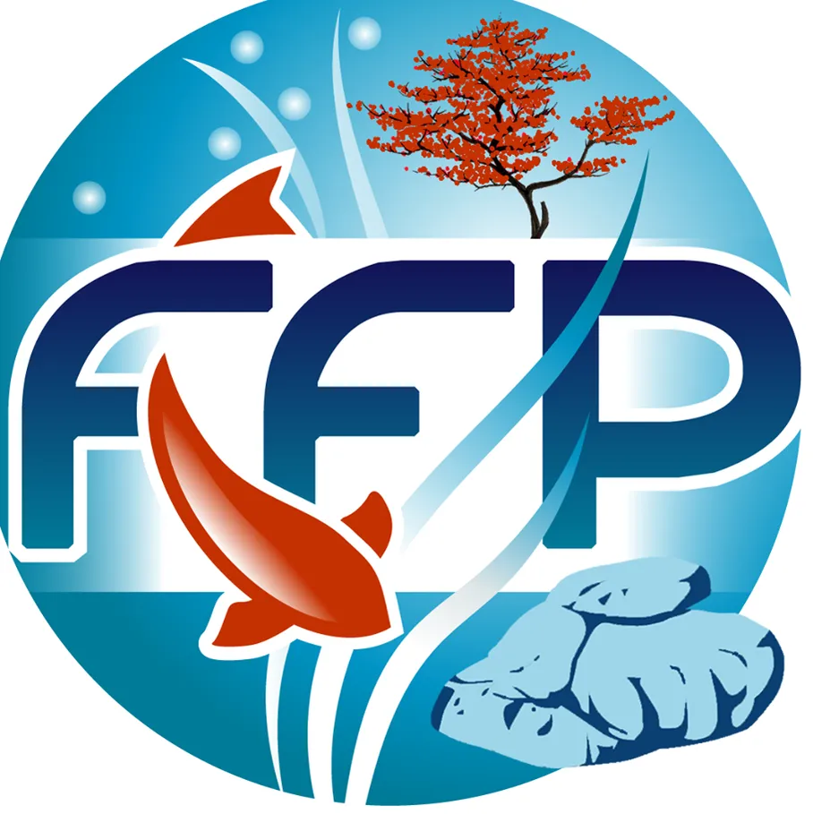 Everything Koi