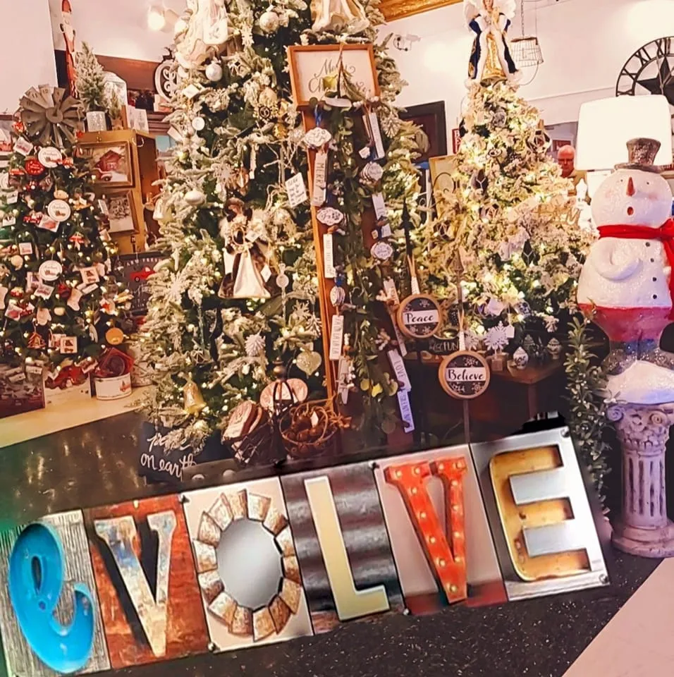 Evolveforthehomeonline