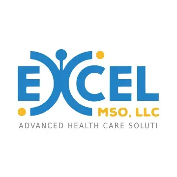 Excel MSO Logo