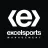 Excel Sports Management logo