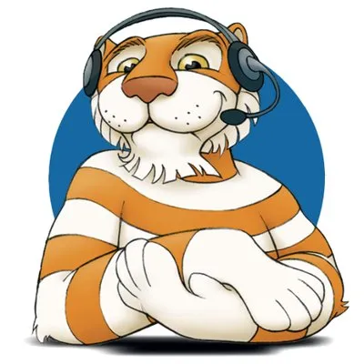 Expertiger Sofort Hilfe Fuer Computer Und Internet