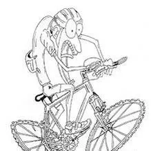 Exton Bikes / West Chester Bicycle Center