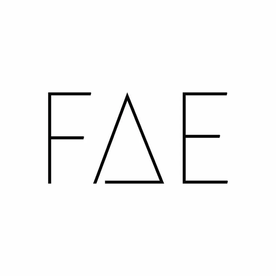  FAE brand logo