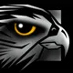 Falcon NW