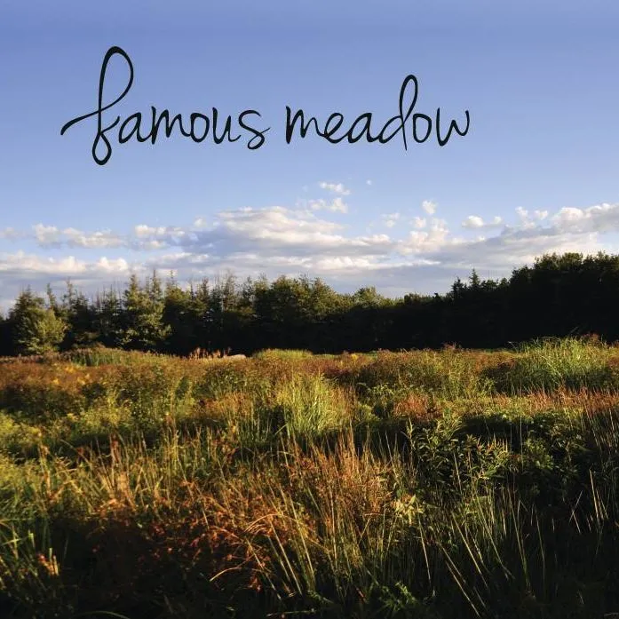 Famousmeadow