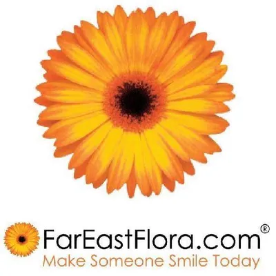 FarEastFloracomhk logo