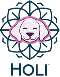 HOLI logo